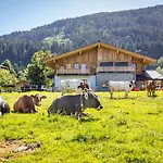 Farm stay Schiefergut Family Resort Flachau *