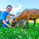 Schiefergut Family Resort Flachau