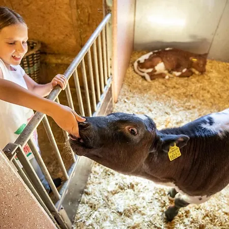 Bauernhof Vorderklinglhub Agroturismo