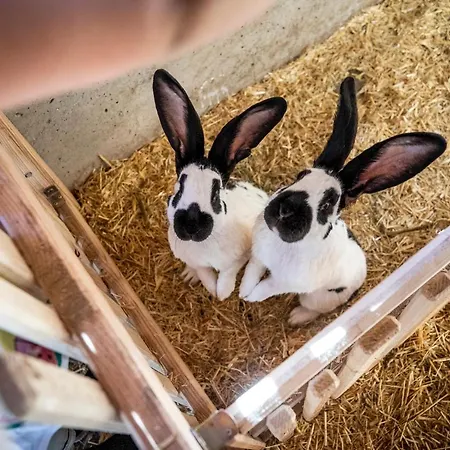 Bauernhof Vorderklinglhub