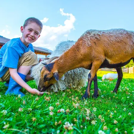 Bauernhof Vorderklinglhub