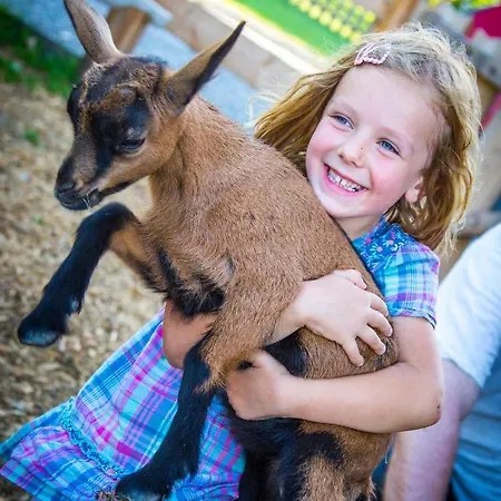 Bauernhof Vorderklinglhub Gospodarstwo agroturystyczne *