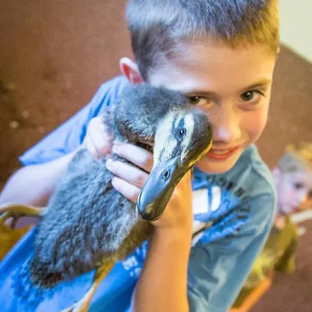 Bauernhof Vorderklinglhub * Flachau