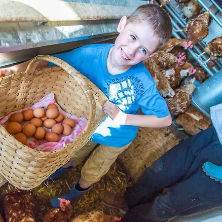 Bauernhof Vorderklinglhub