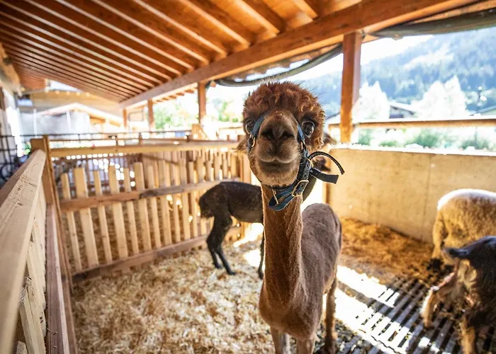 Bauernhof Vorderklinglhub Çiftlik konaklama *