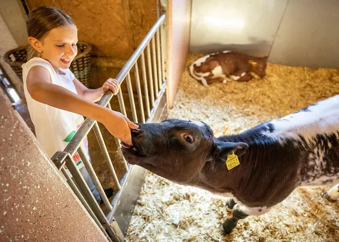 Bauernhof Vorderklinglhub Çiftlik konaklama