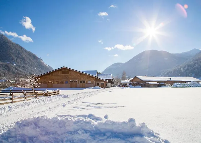 Schiefergut Family Resort Flachau *