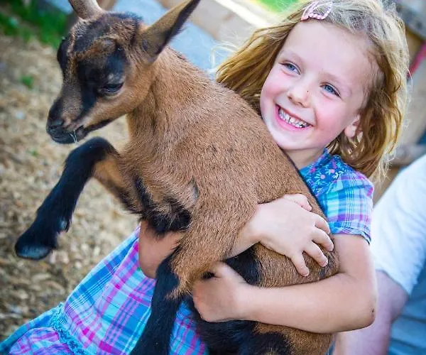 Bauernhof Vorderklinglhub Çiftlik konaklama *