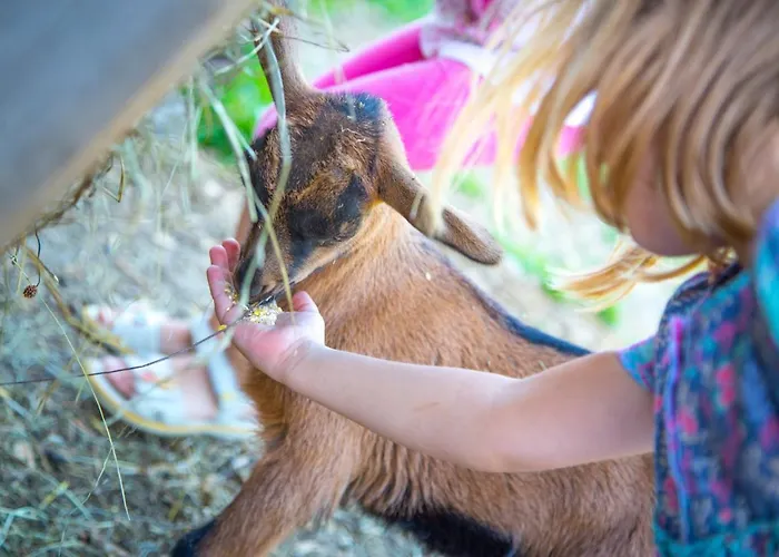 Çiftlik konaklama Bauernhof Vorderklinglhub Flachau