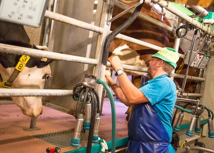 Bauernhof Vorderklinglhub